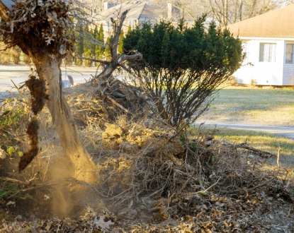 <p style="font-family: 'Poppins', sans-serif; font-weight: 700; font-size:24px;">BRUSH REMOVAL </p>